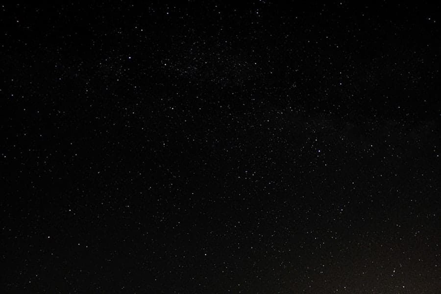 What Are the Health Benefits of Black Seed Oil? 8 abcdhe 299