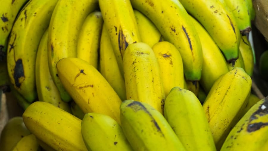 7-Day Banana Diet Plan: Lose Weight and Boost Your Health 8 abcdhe 36