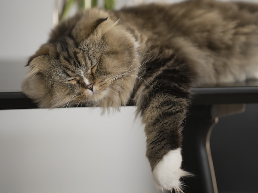 The Cortisol Cocktail: Understanding the Stress Hormone 8 abcdhe 857