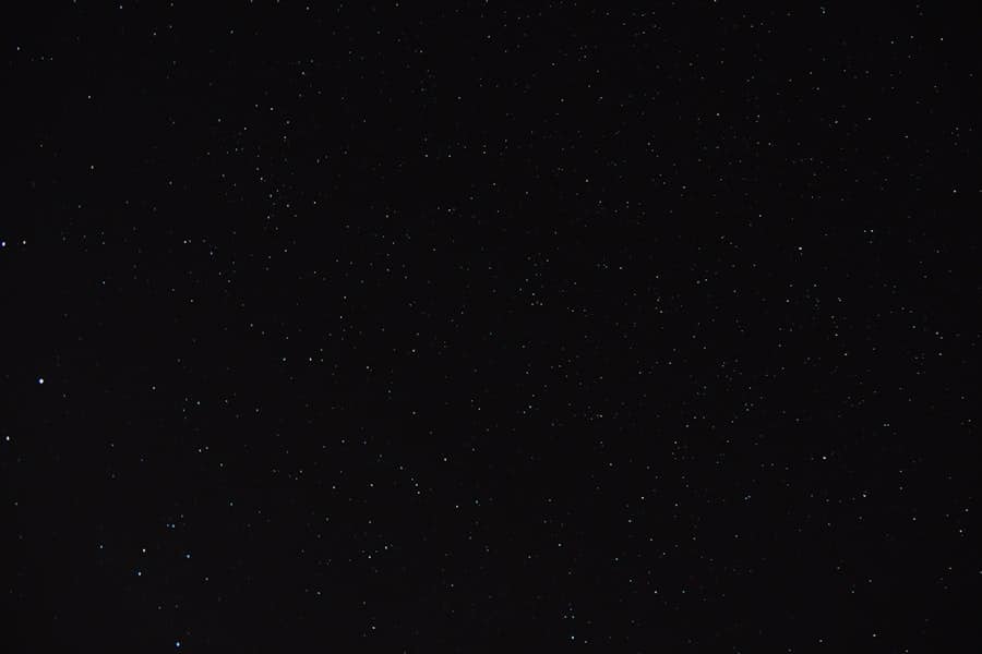 What Are the Health Benefits of Black Seed Oil? 9 image 603